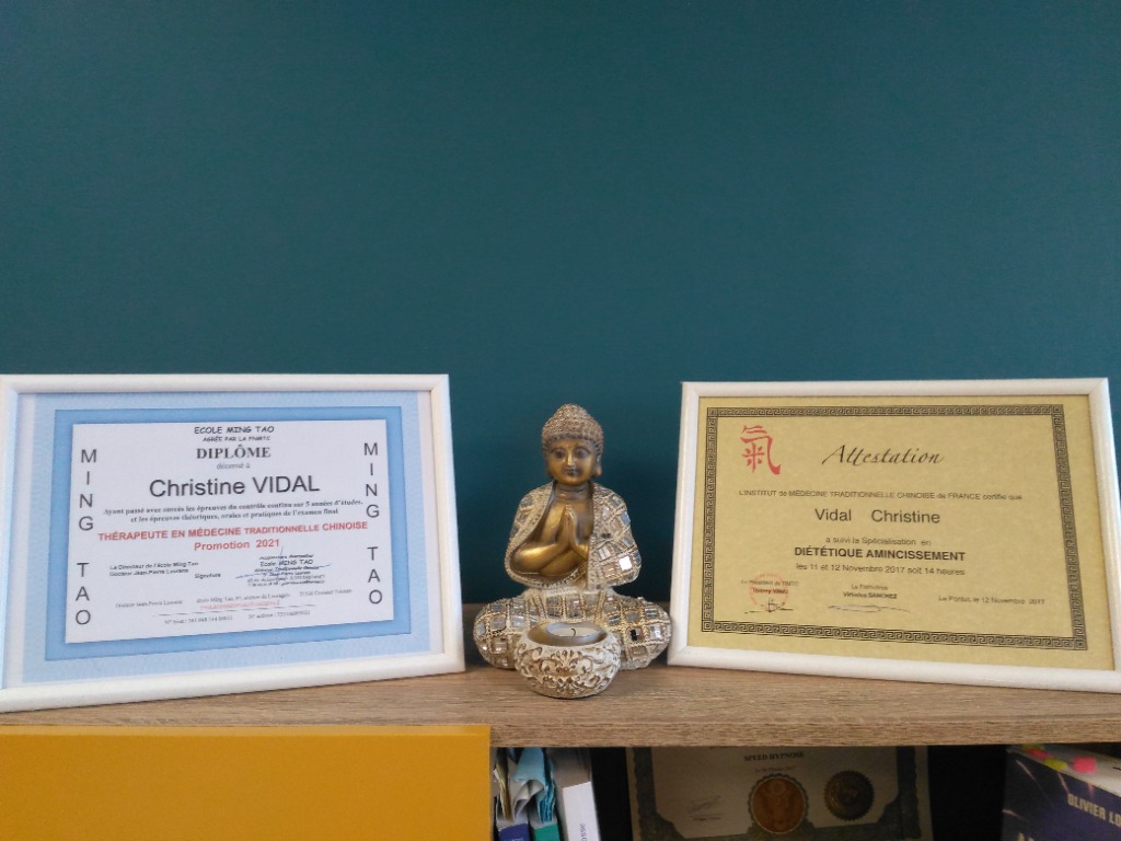 photo diplome VIDAL Christine