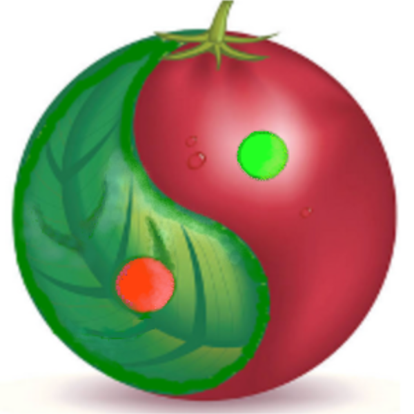 Sybile Bredelet Equilibre-diet-nature