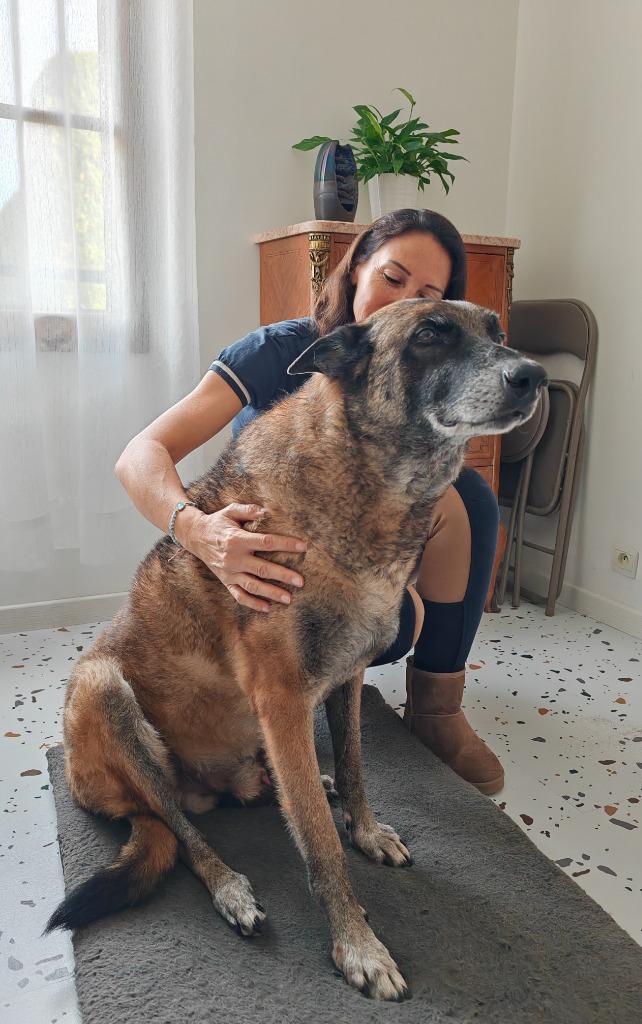 photo activite Chrystel CHOTAR VASSEUR