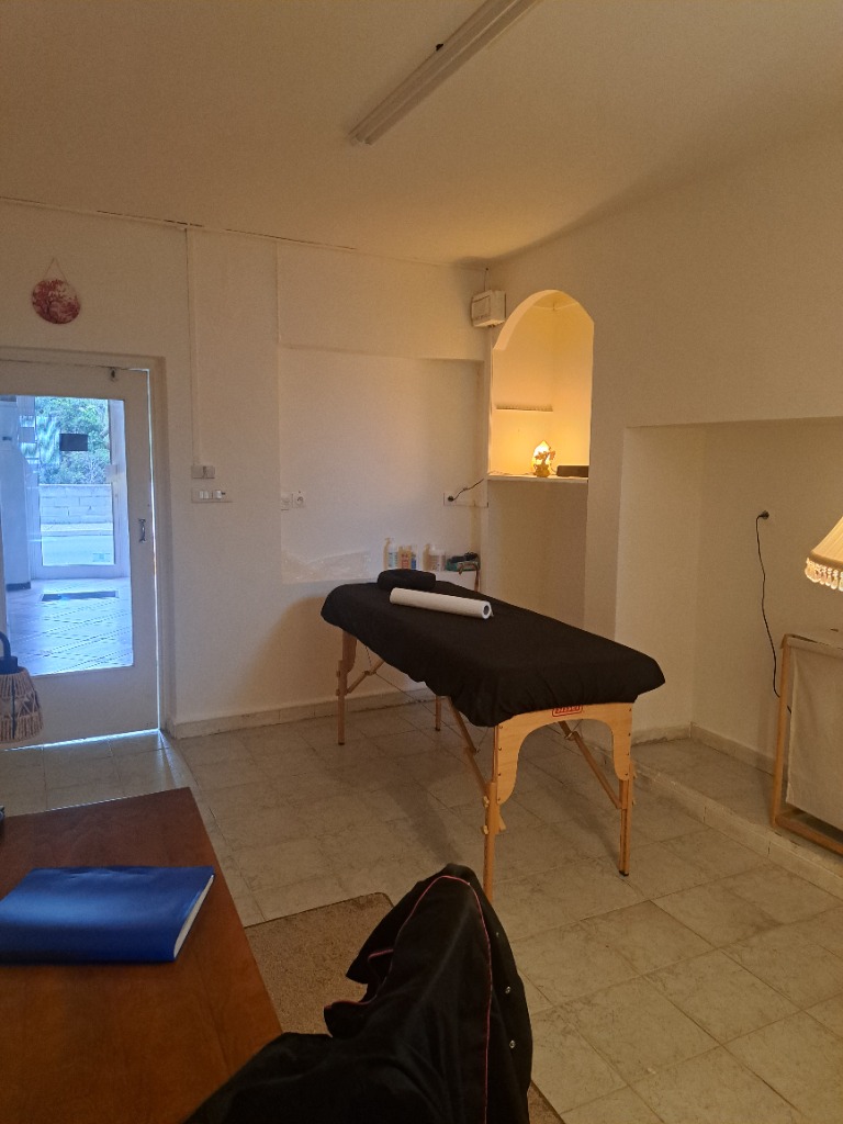 photo activite Laure Sellier