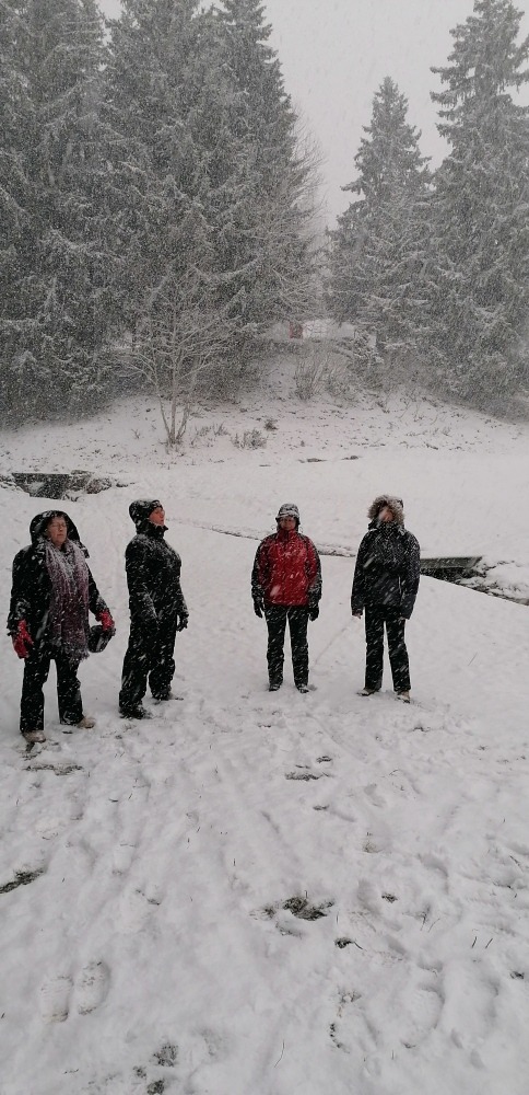 photo activite SYLVIE LEPELTIER-BARNOT- Hypnothérapeute