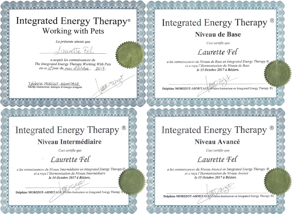 photo diplome Laurette Fel