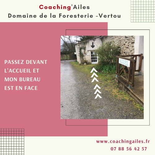 photo cabinet Corine Bauquel-Thibault