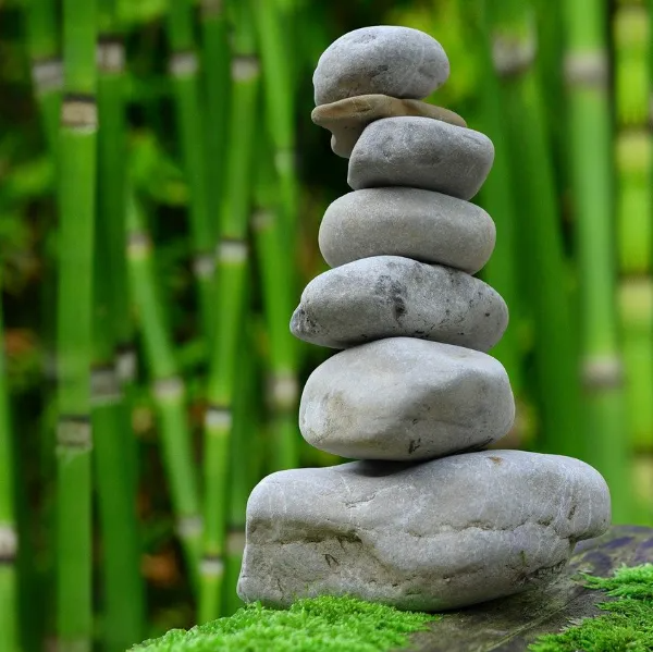 C.Libero - Magnétiseur à Fitz-James (60)