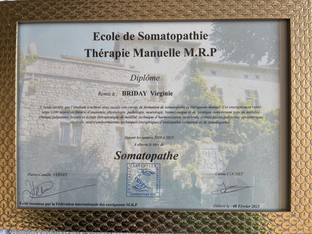 photo diplome BRIDAY