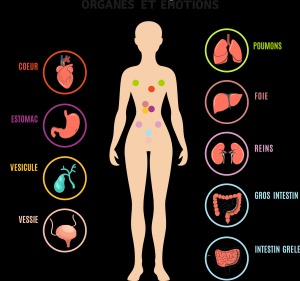 photo activite Paola NENICH