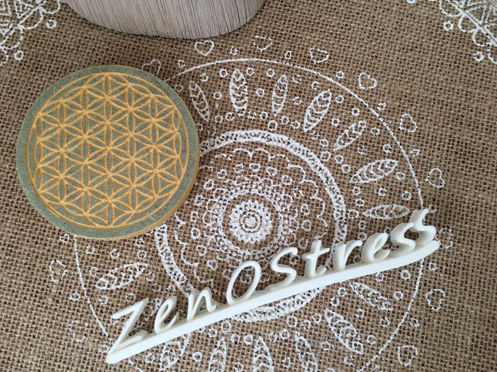 photo cabinet Léa GAUTRONNEAU