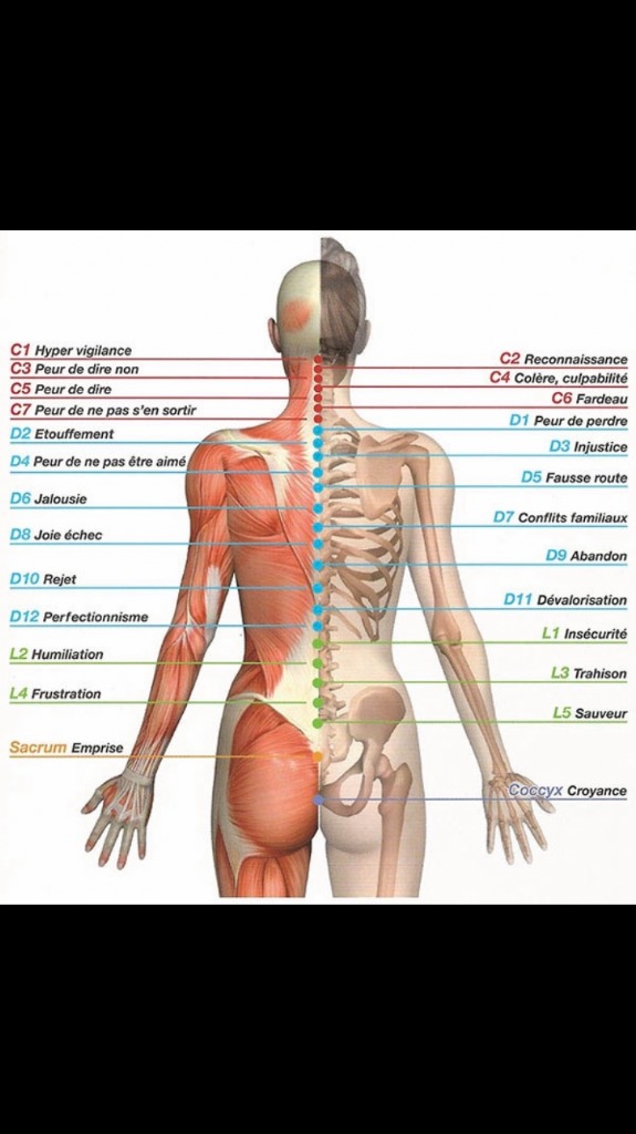 photo portrait Care/Med/Arts/Methode/Vitruve/Vinci