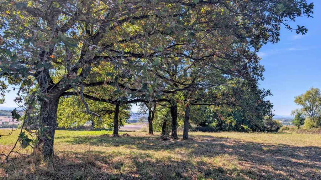 photo cabinet Françoise Boillon