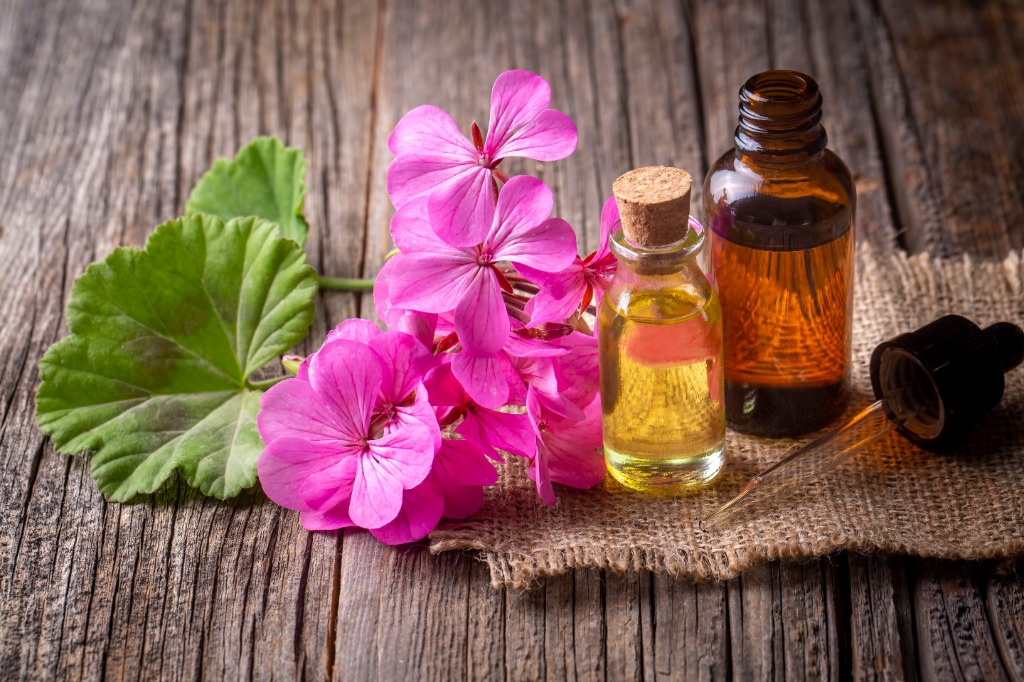 photo activite EMPAB