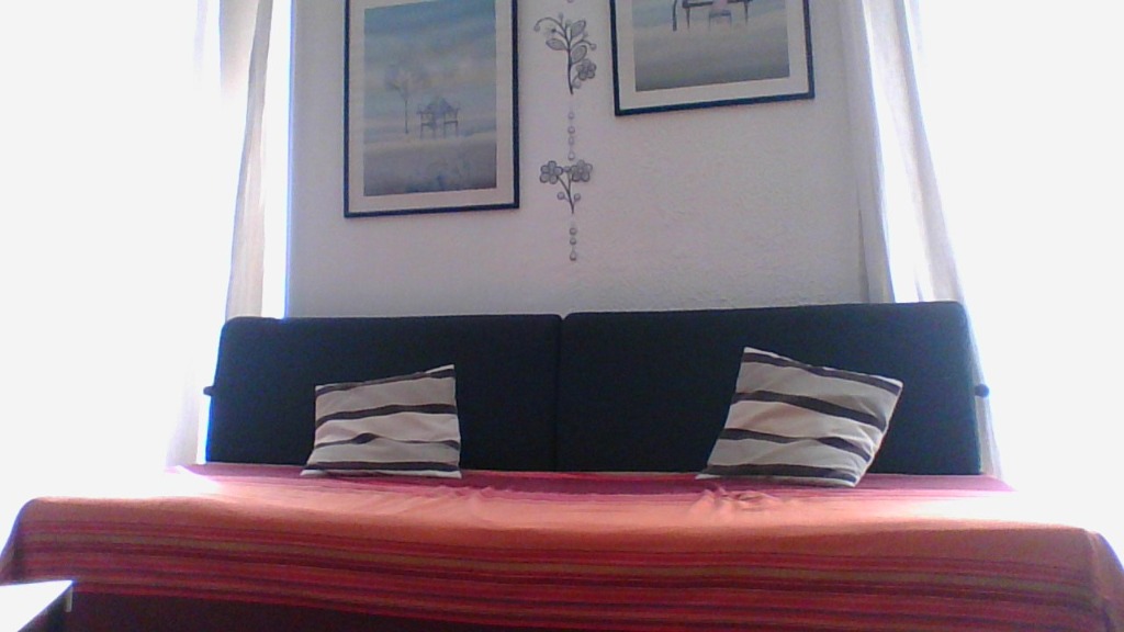 photo cabinet DOMINIQUE DHAINE