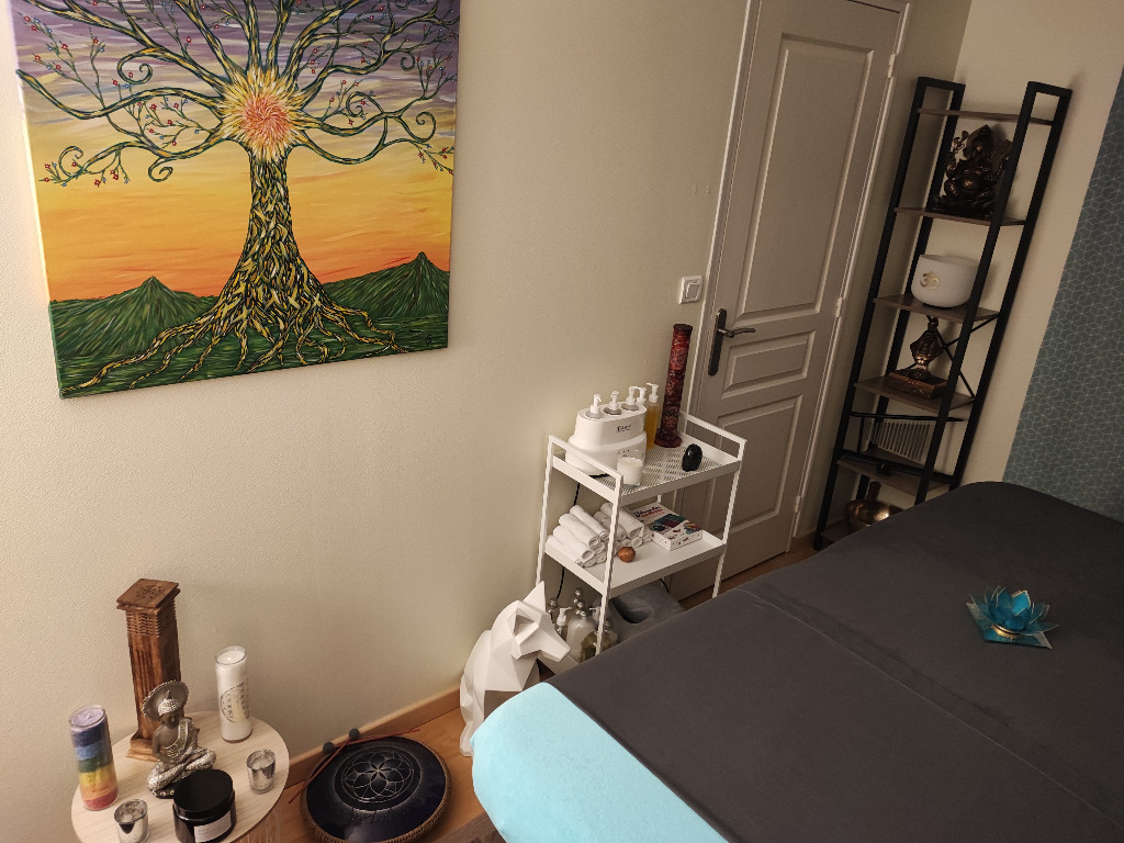 photo activite Stéphane Vigier-Guyomar