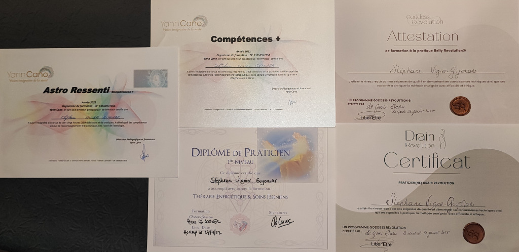 photo diplome Stéphane Vigier-Guyomar