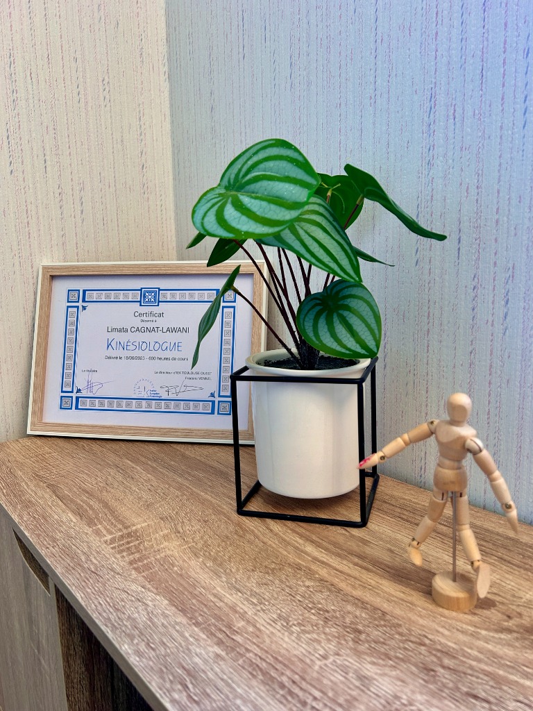 photo diplome Cagnat Limata