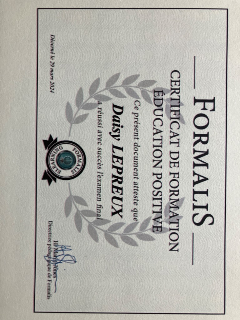 photo activite LienFamiLié Coaching parental