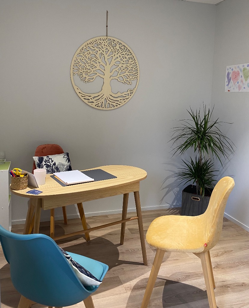 photo activite Emilie Da Silva cabinet de kinésiologie 