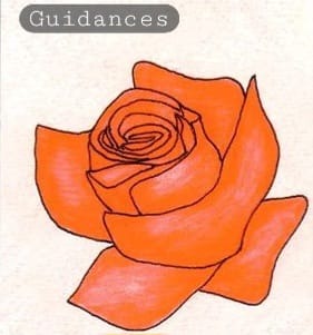 photo seance Adeline Soin Divination 