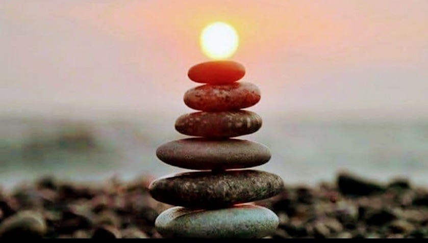 photo activite ROCHE Cédric 