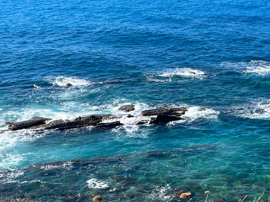 photo activite YACINE BOULAIKI