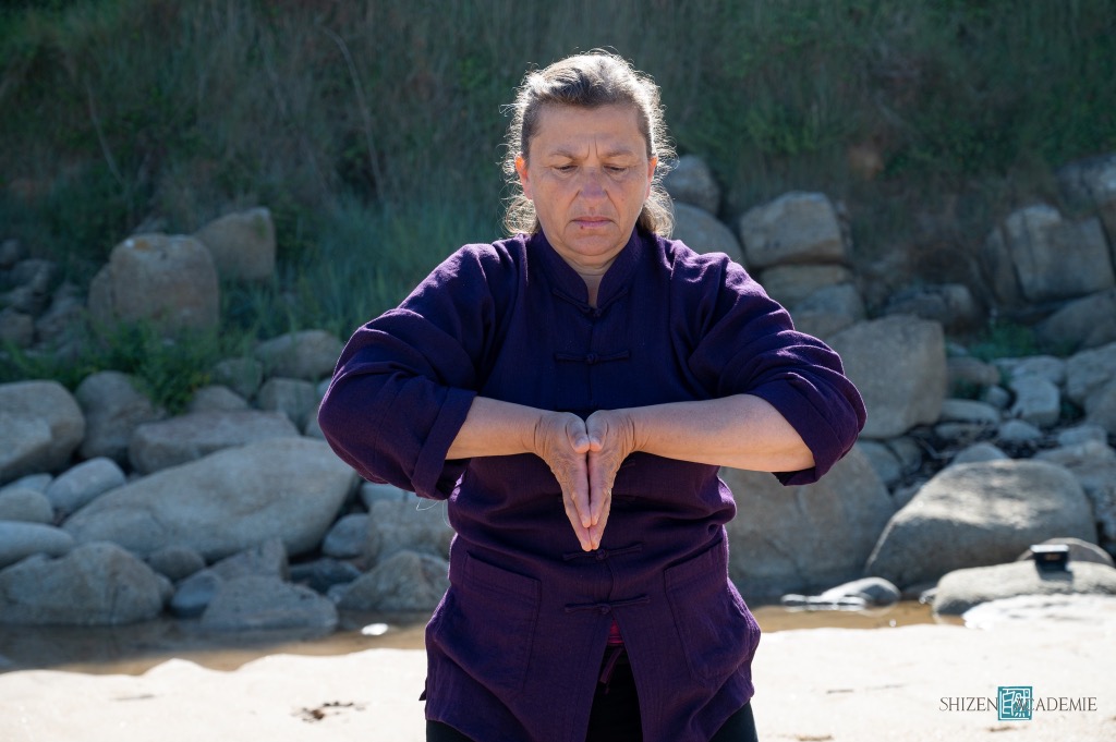 photo activite Shizen Académie