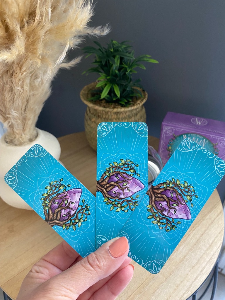 photo seance Chrystel Jorge 