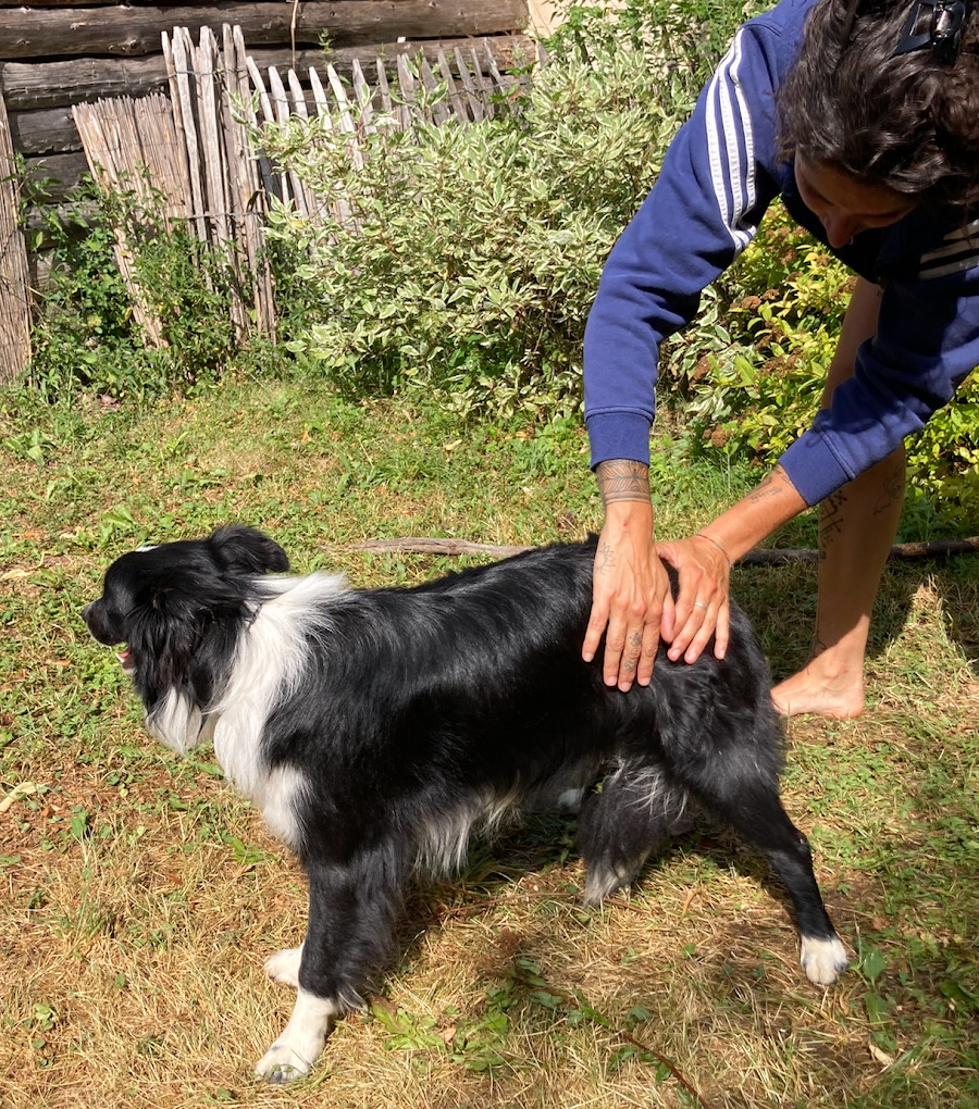 photo activite Axelle BONO