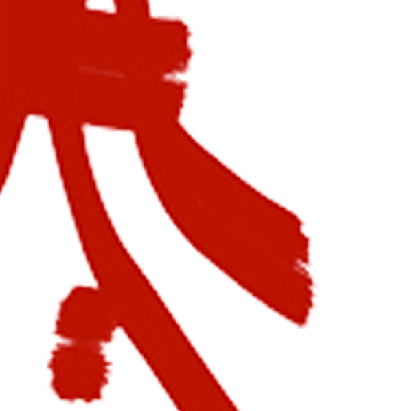 Centre d’acupuncture Sebastopol