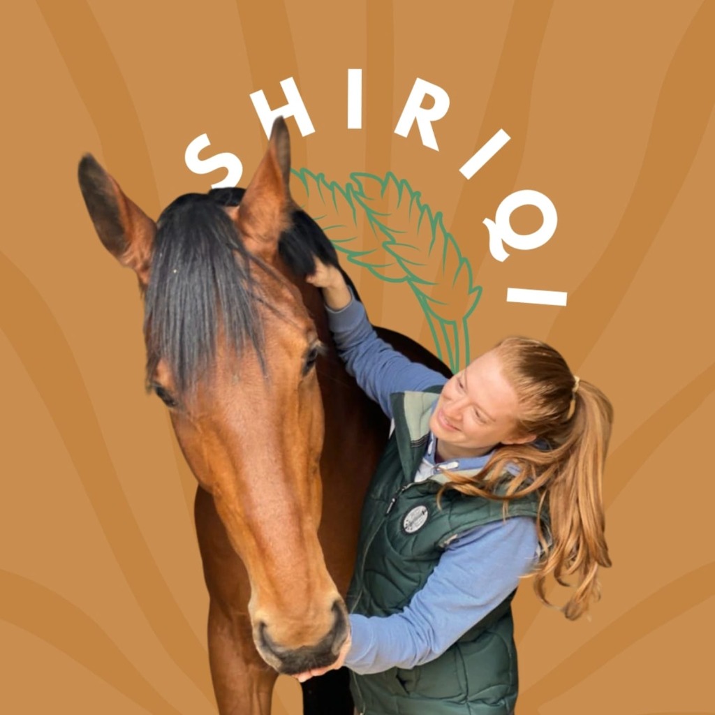 photo activite Virginie Poiron