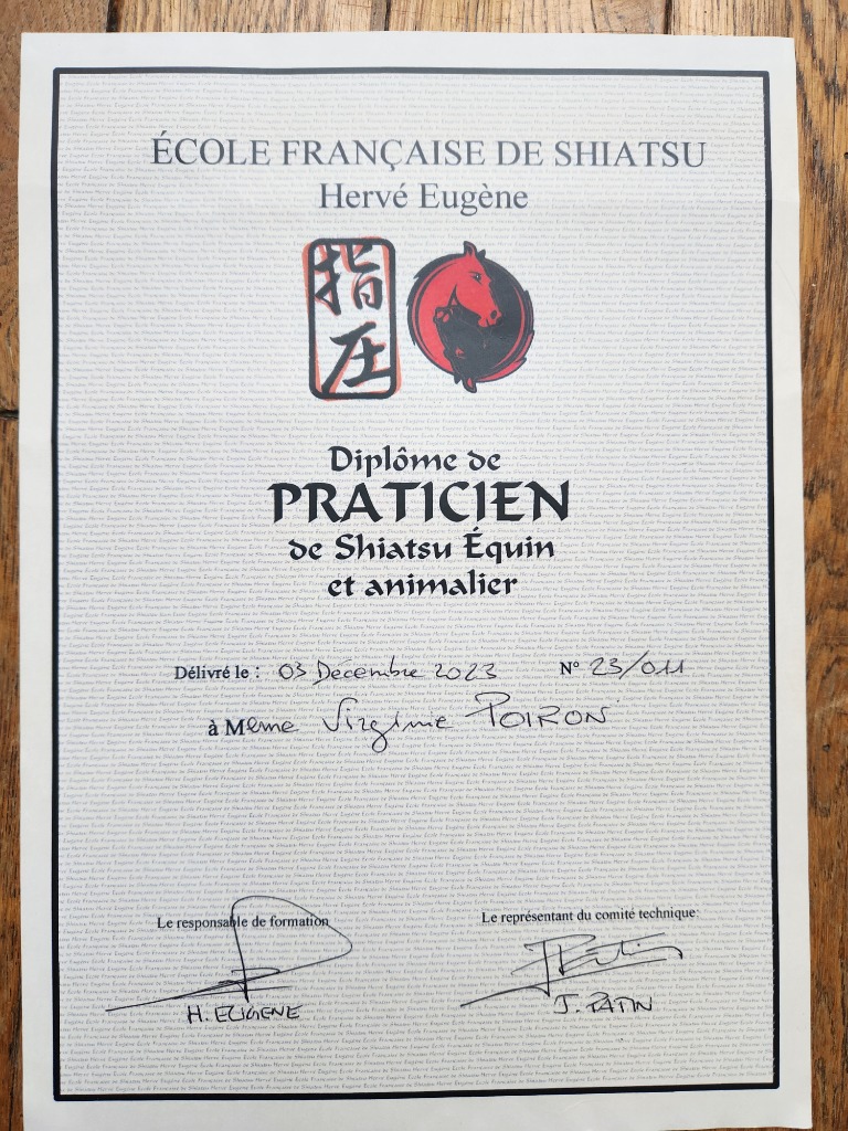 photo diplome Virginie Poiron