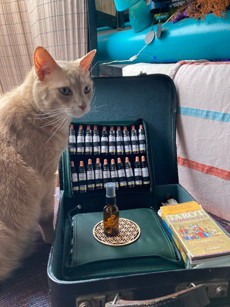 photo activite Sofia Cumbat