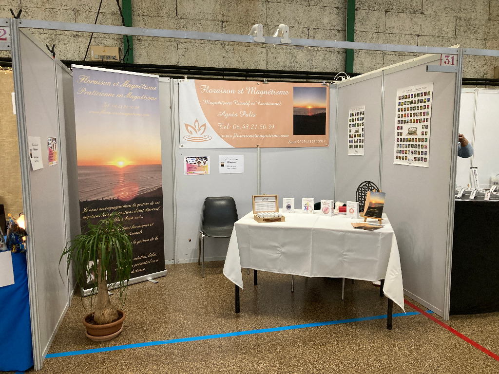 photo activite Agnès Palis