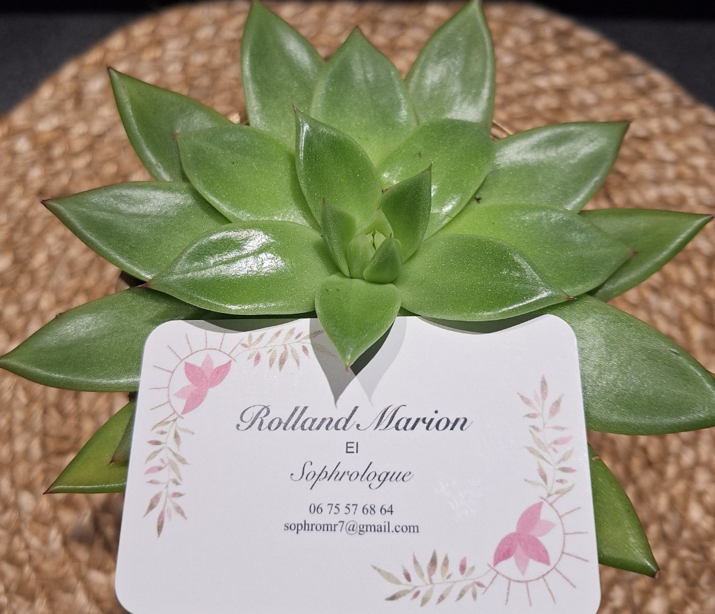 photo cabinet Marion Rolland