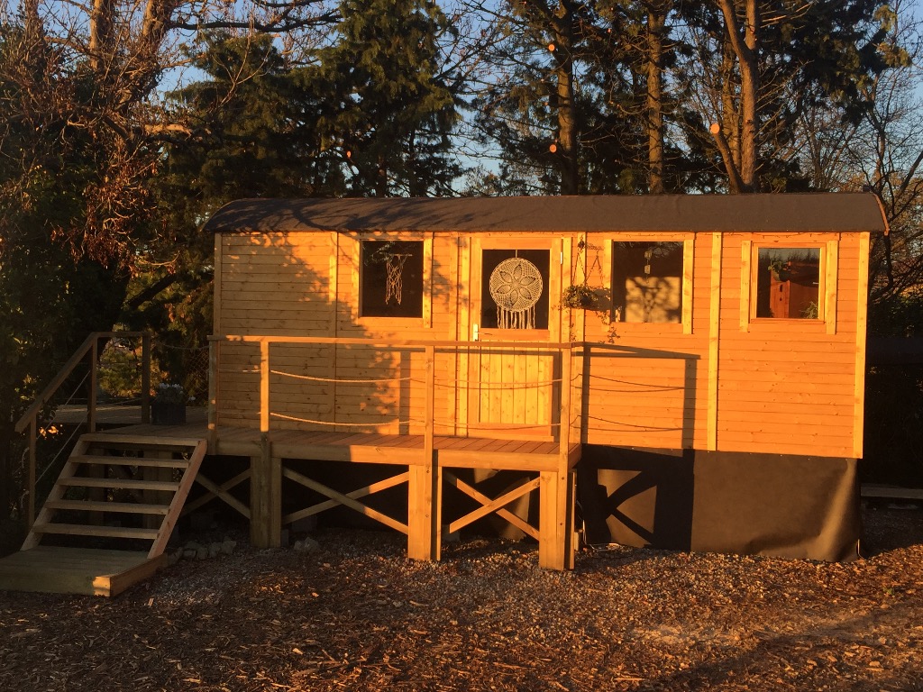 photo activite Antoinette Sitarz Hypnose Humaniste