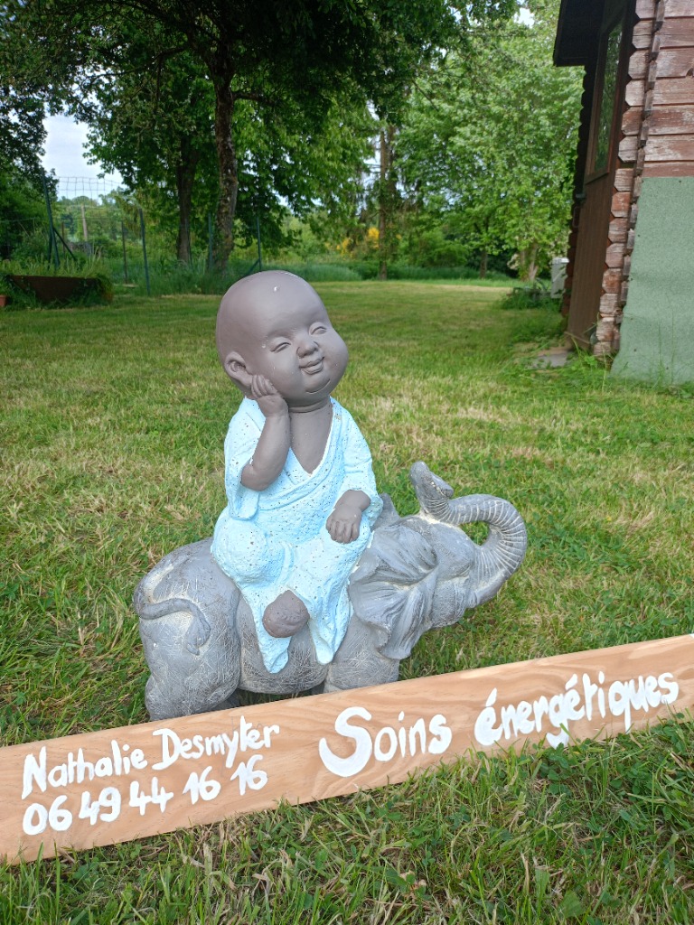 photo portrait Nathalie Desmyter