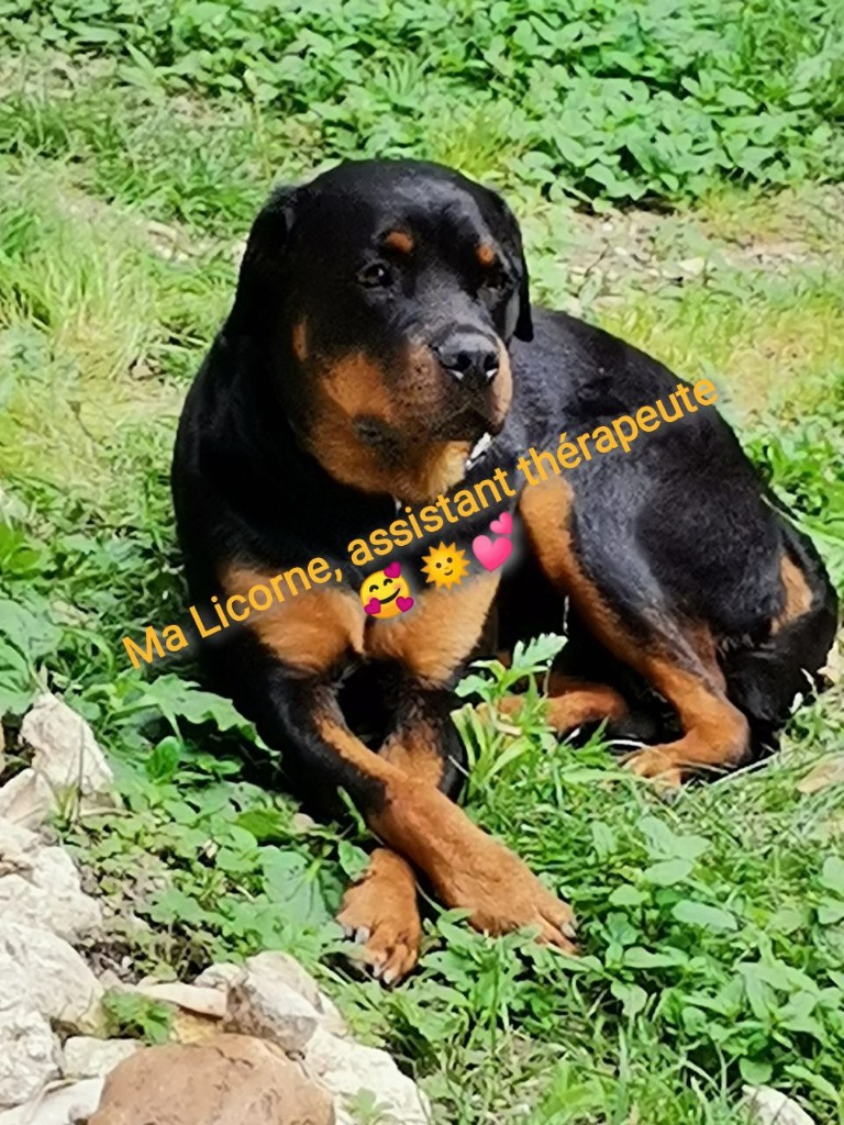 photo seance Harmonies de Soleil