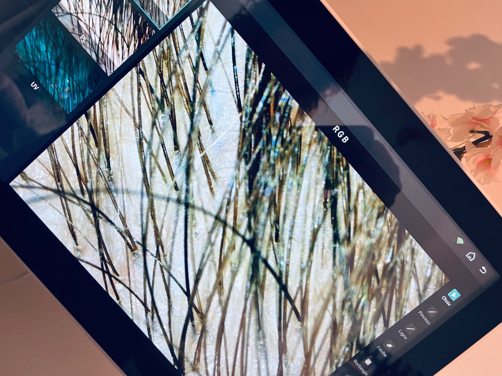 photo portrait Laetitia plichet 