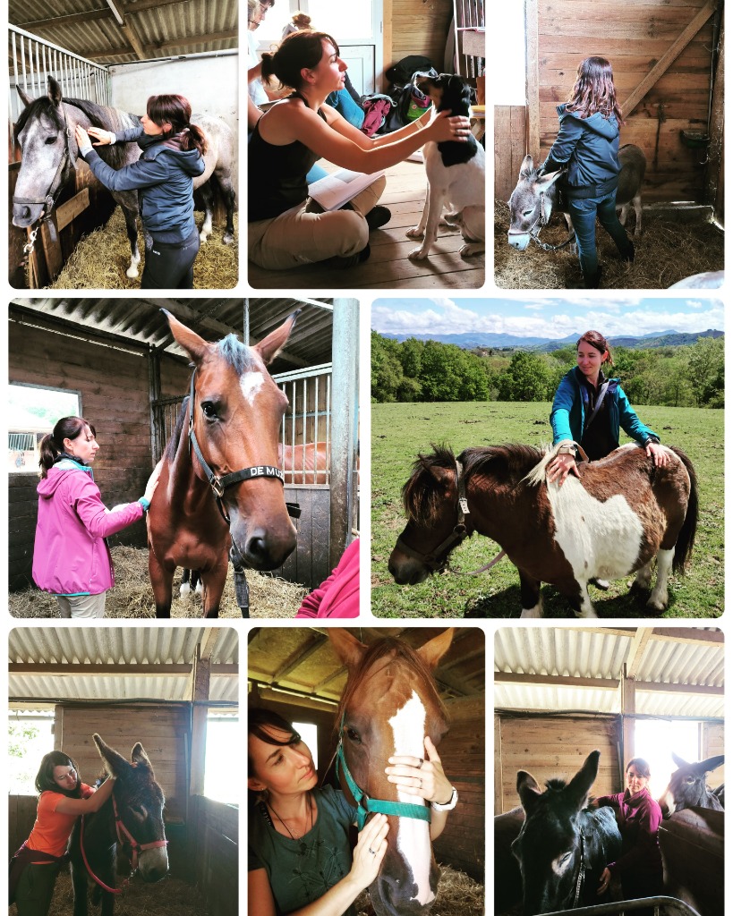 photo activite AURELIE JEROME - EI