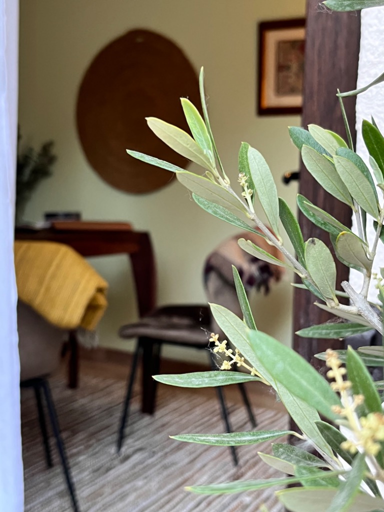 photo cabinet Adina Ghidionescu