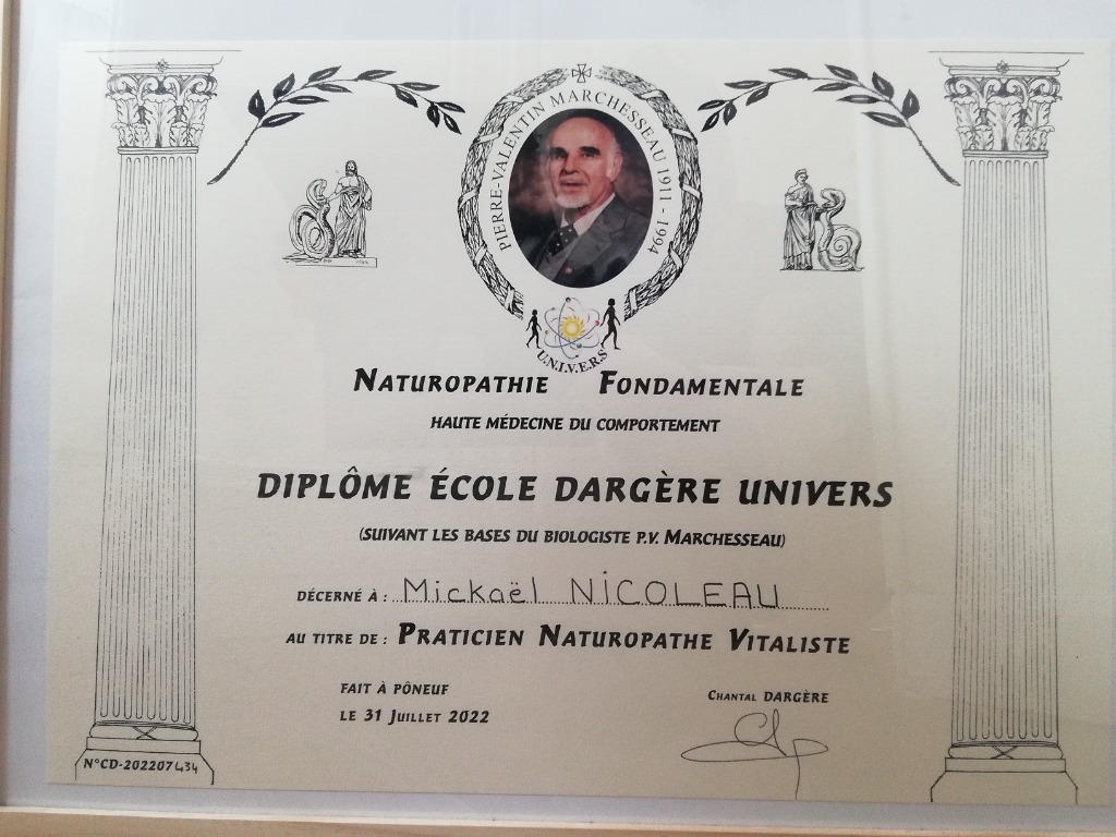 photo diplome Mickaël Nicoleau