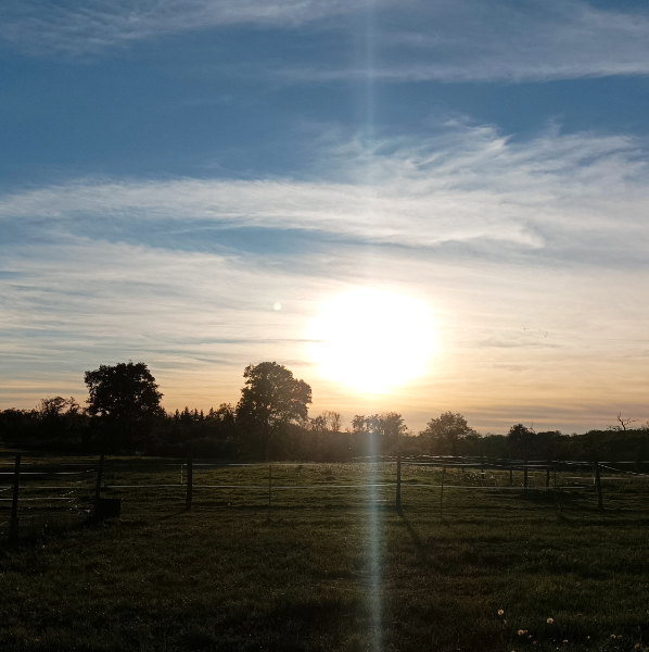 Chaman B.Lafforgue, Indre 36 (Bonneuil)