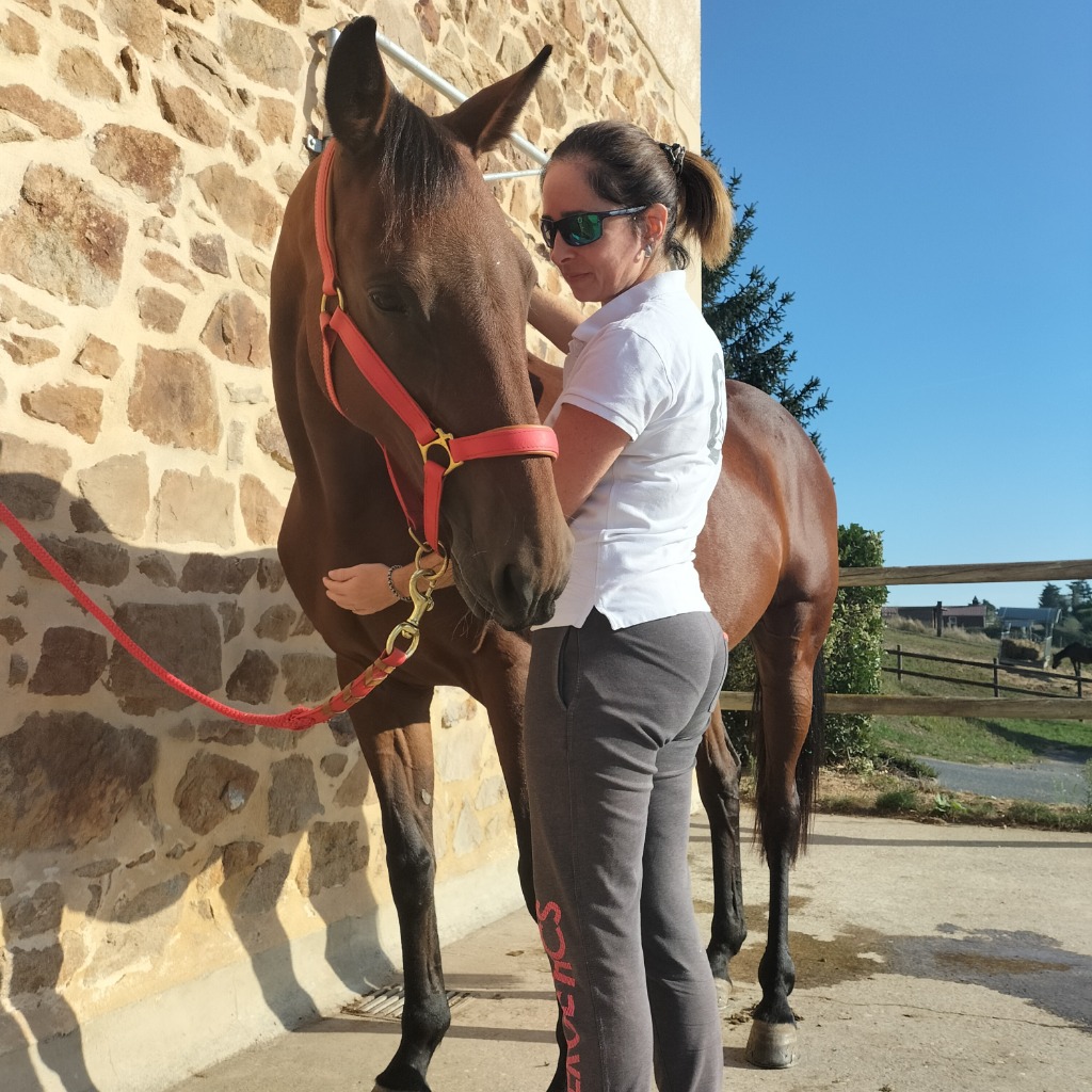 photo seance En Equi’Libre 