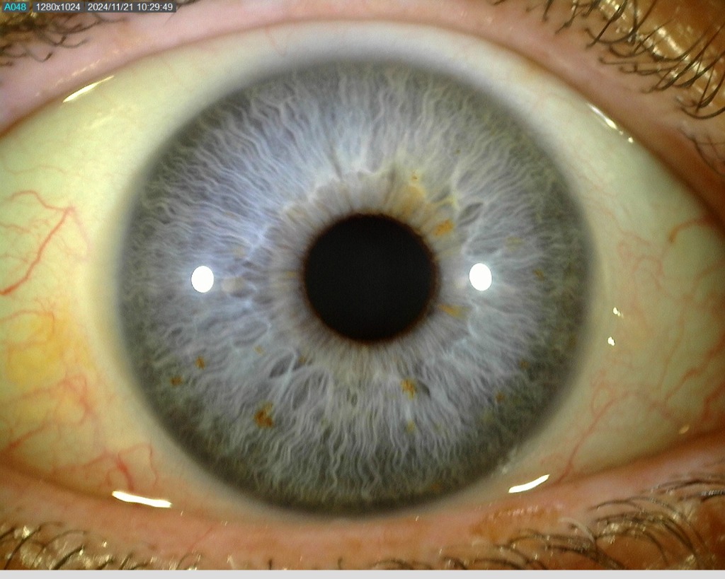 photo seance Natur’Ômère