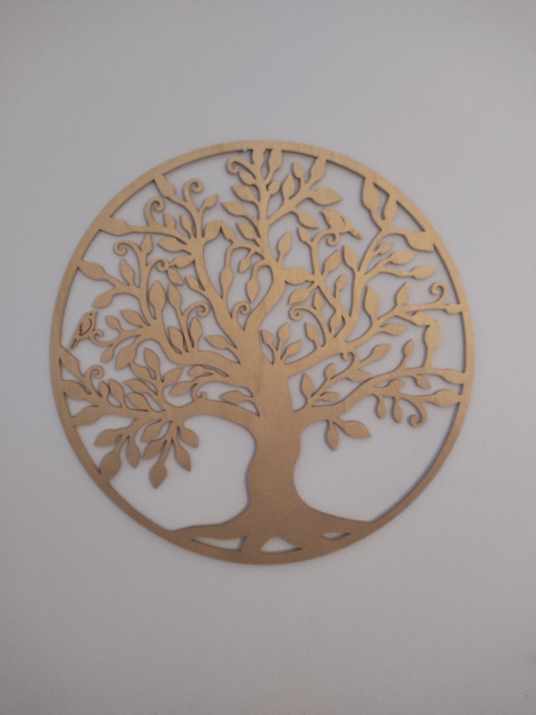 photo portrait CK Coaching & Kinésiologie