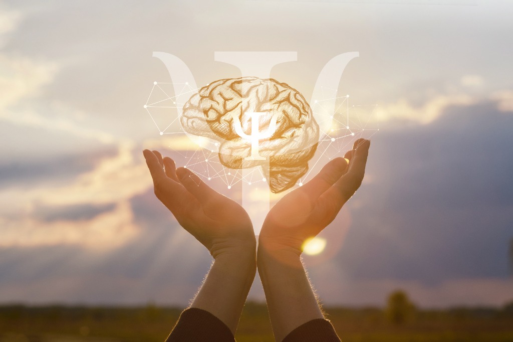 photo activite Nathalie DENEAU