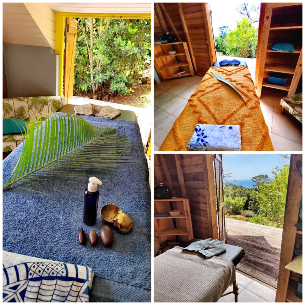 photo activite Karma Ayurveda