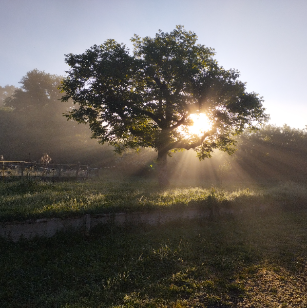 Lumière et thérapie