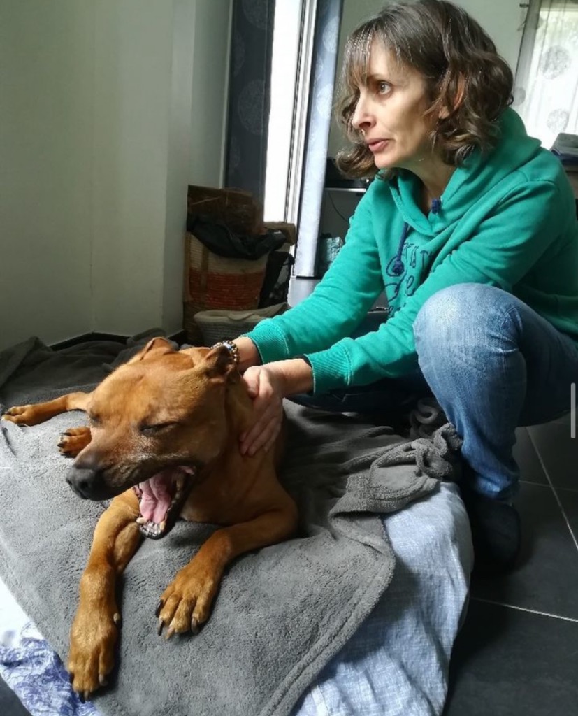 photo activite Sabine Shiatsu Animalier