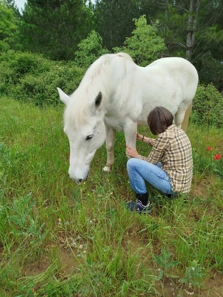 photo seance Sabine Shiatsu Animalier