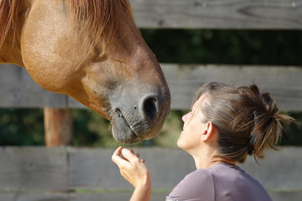 photo activite Karine BORDE