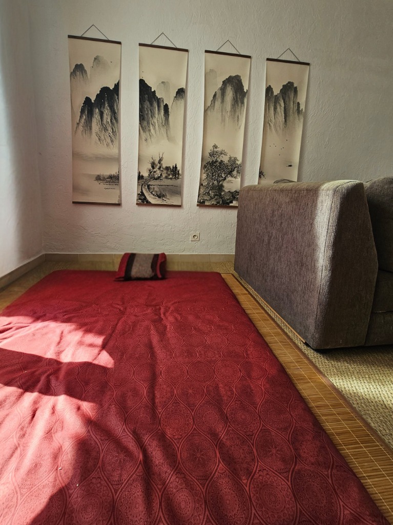 photo activite Nicolas Goubaux 